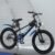 Single Pupil Variable Speed Mountain Bike | Shock Absorbing Ride