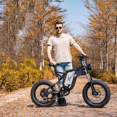 Off-road Electric Bicycle